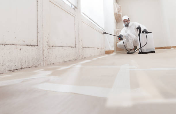 24/7 Emergency Basement Mold Remediation experts in Highlands, NC